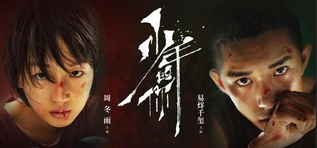 购买假的传播所有权登记/证书
